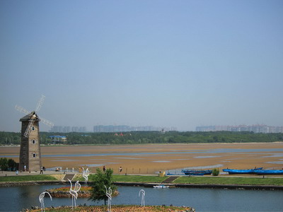 1746760228631840.jpg 鸽子窝3.jpg